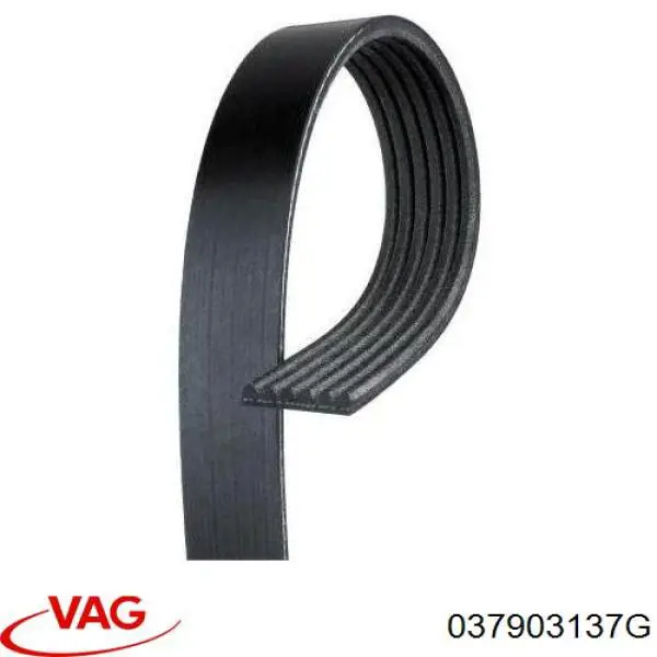 Do koszyka 037903137G VAG Pas napędowy mechanizmów