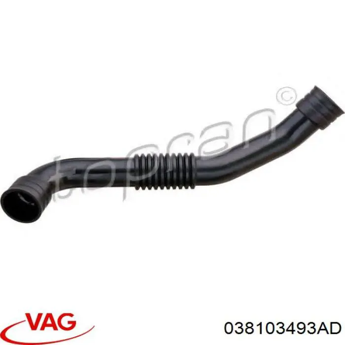 038103493AD VAG Króciec wentylacji kadłuba (separatora oleju)