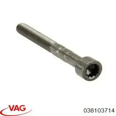 038103714 VAG Śruba łożyska wału rozrządu