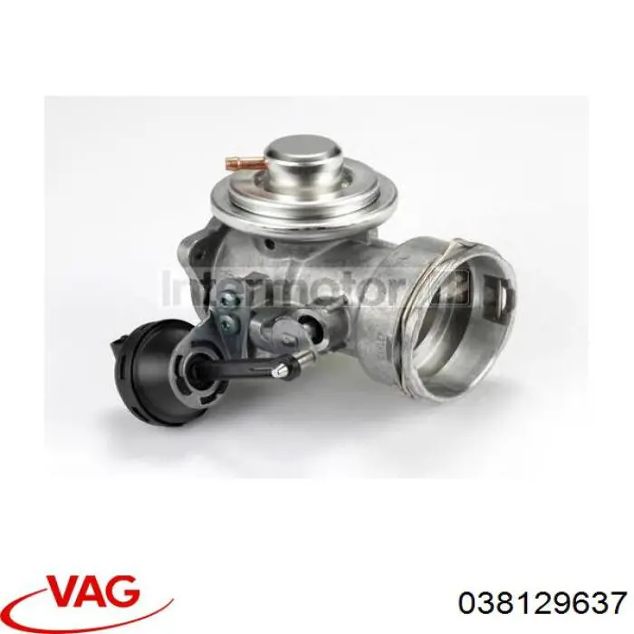 038129637 VAG Zawór recyrkulacji spalin EGR