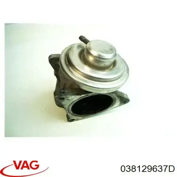 038129637D VAG Zawór recyrkulacji spalin EGR