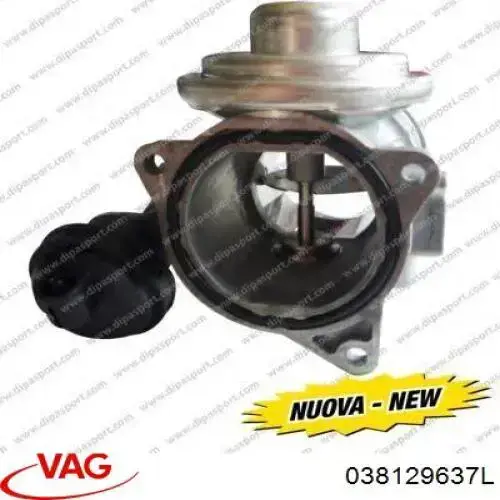 038129637L VAG Zawór recyrkulacji spalin EGR