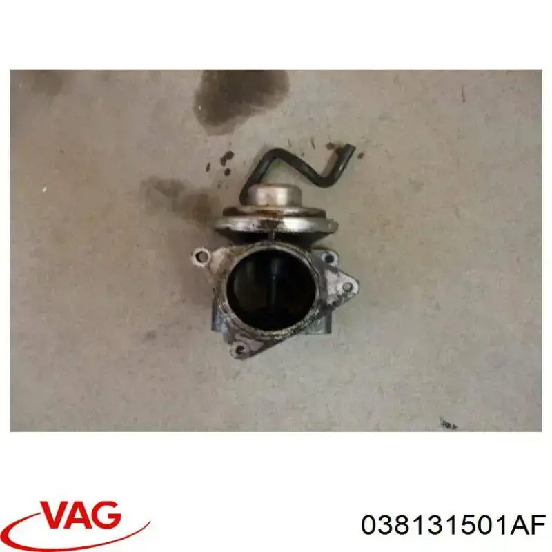 Zawór recyrkulacji spalin EGR VAG 038131501AF cena, od 51,28 USD