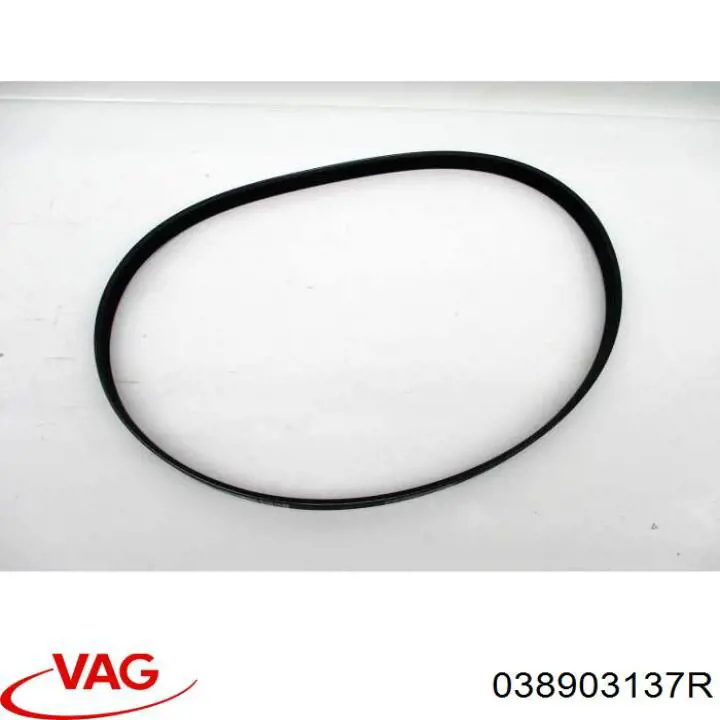 Do koszyka 038903137R VAG Pas napędowy mechanizmów