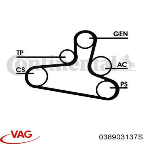 Do koszyka 038903137S VAG Pas napędowy mechanizmów