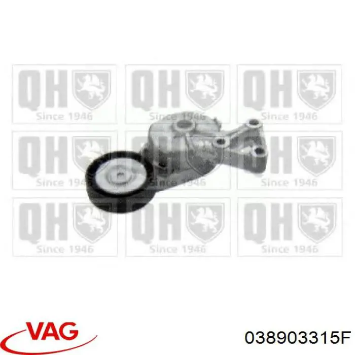 Napinacz paska napędowego VAG 038903315F cena, od 75,21 USD
