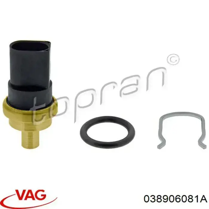 Czujnik temperatury paliwa VAG 038906081A cena, od 8,08 USD