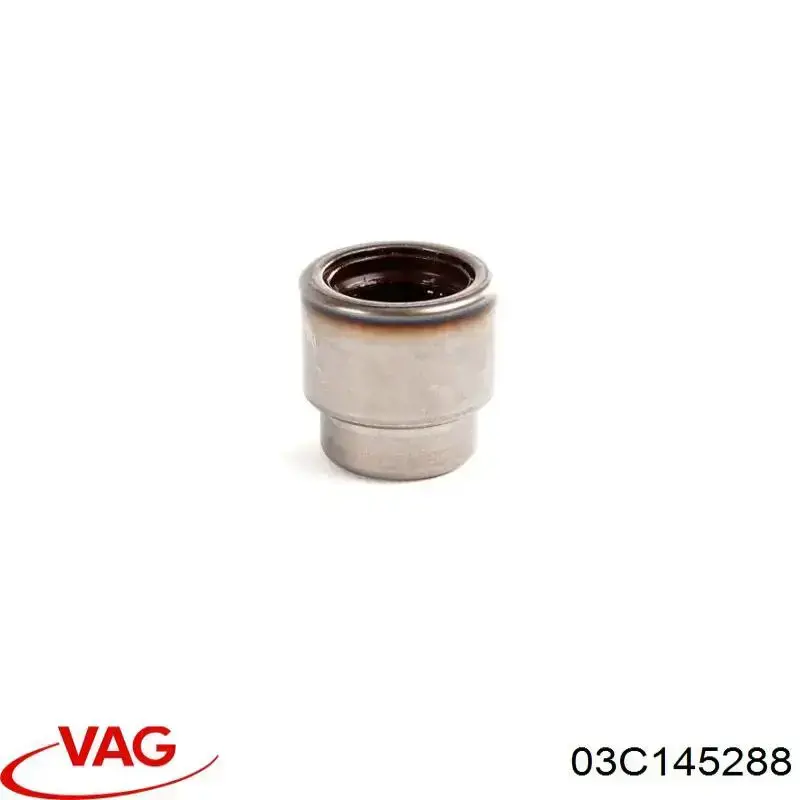  VAG 03C145288 cena, od 10,85 USD