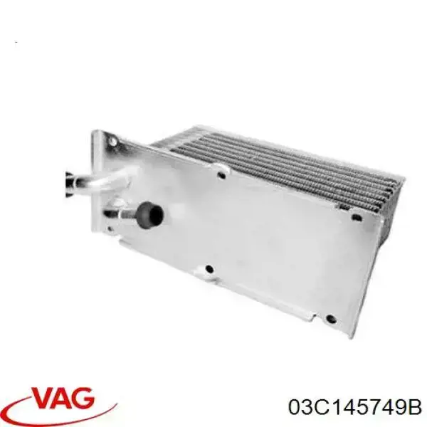 03C145749B VAG Chłodnica oleju