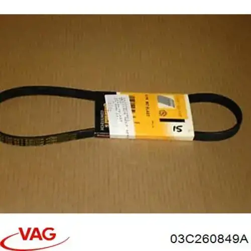 Do koszyka 03C260849A VAG Pas napędowy mechanizmów