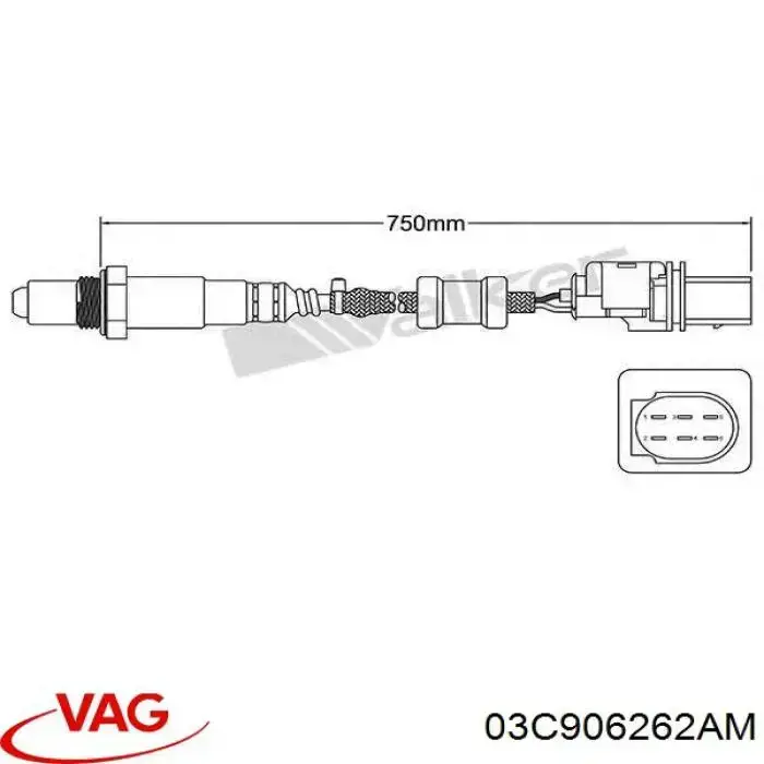 Do koszyka 03C906262AM VAG Sonda lambda czujnik tlenu przed katalizatorem