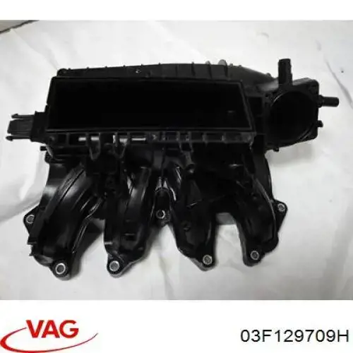 03F129709H VAG Kolektor ssący