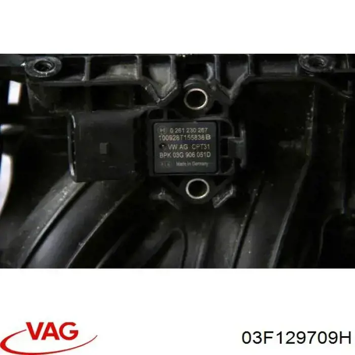 Do koszyka 03F129709H VAG Kolektor ssący
