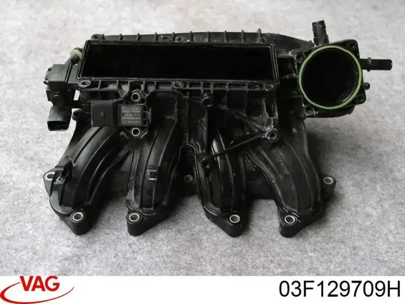 Kolektor ssący VAG 03F129709H cena, od 165,77 USD