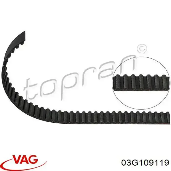 Do koszyka 03G109119 VAG Pasek rozrządu