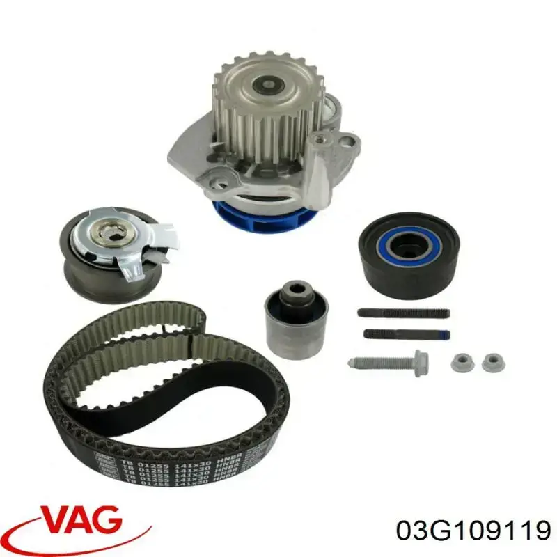 Pasek rozrządu VAG 03G109119 cena, od 58,80 USD
