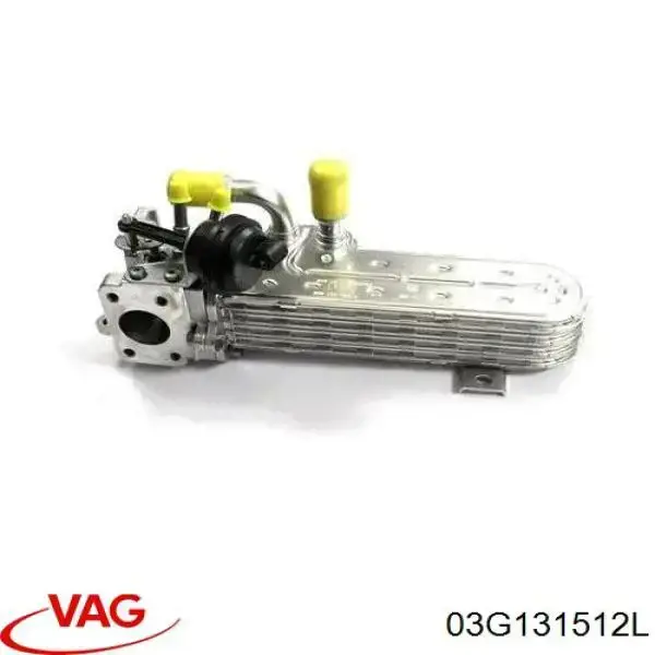 03G131512L VAG Chłodnica układu recyrkulacji spalin EGR