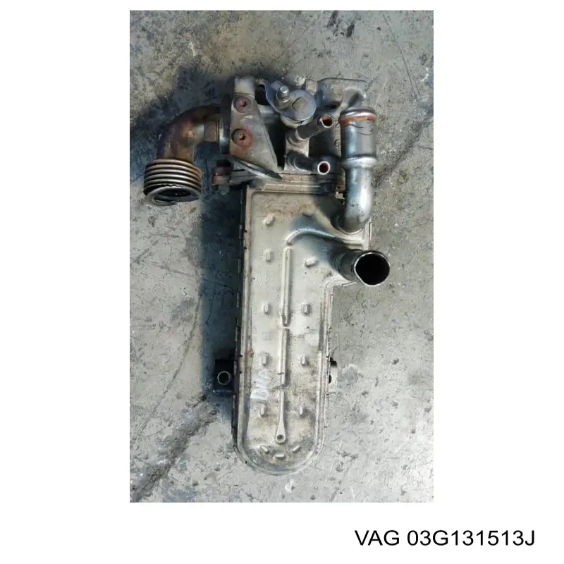 Do koszyka 03G131513J VAG Chłodnica układu recyrkulacji spalin EGR