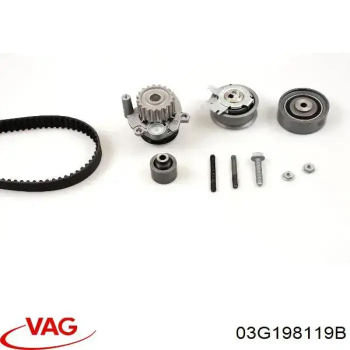 Do koszyka 03G198119B VAG Pasek rozrządu, zestaw