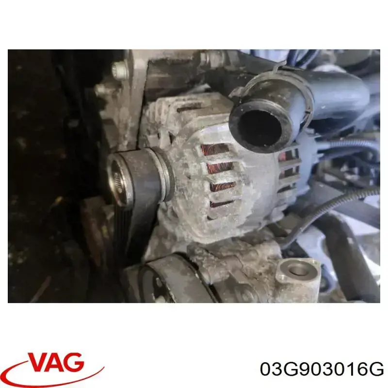 Do koszyka 03G903016G VAG Alternator