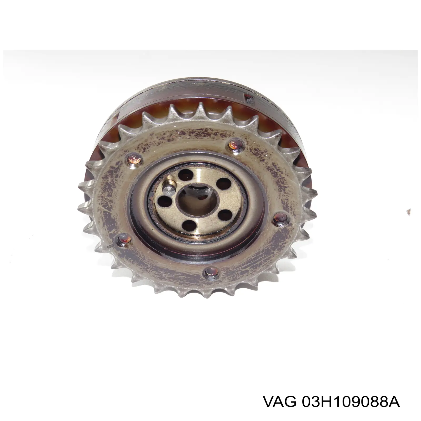 Koło zębate walcowe wałka rozrządu wydechowego VAG 03H109088A cena, od 145,41 USD