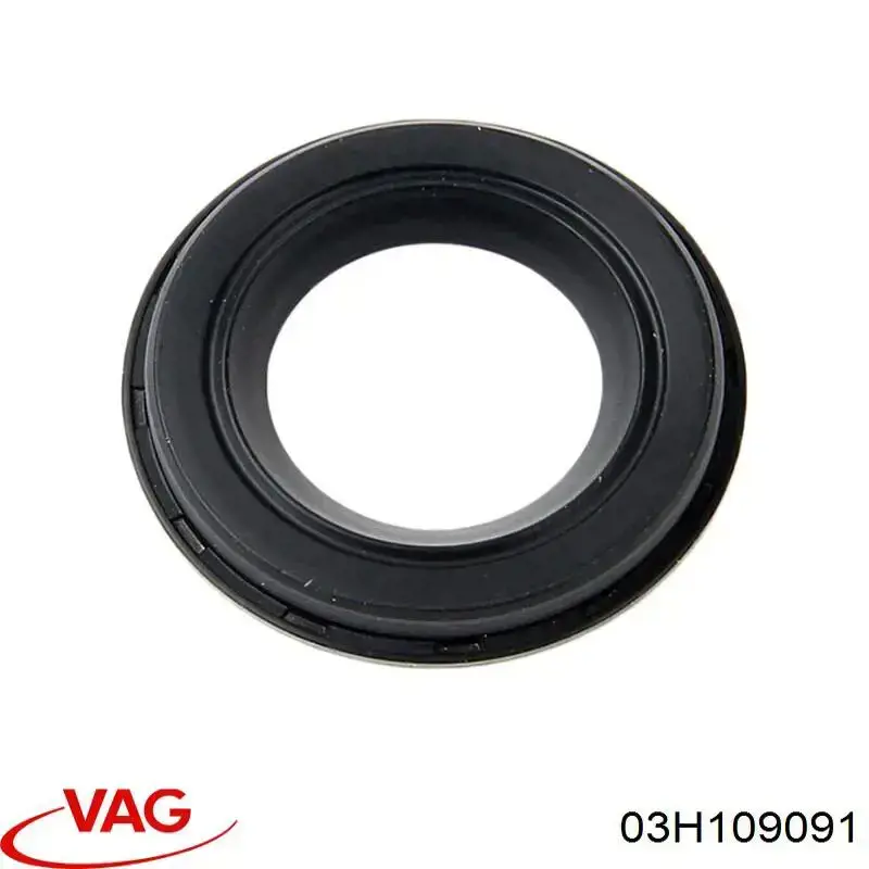 03H109091 VAG 