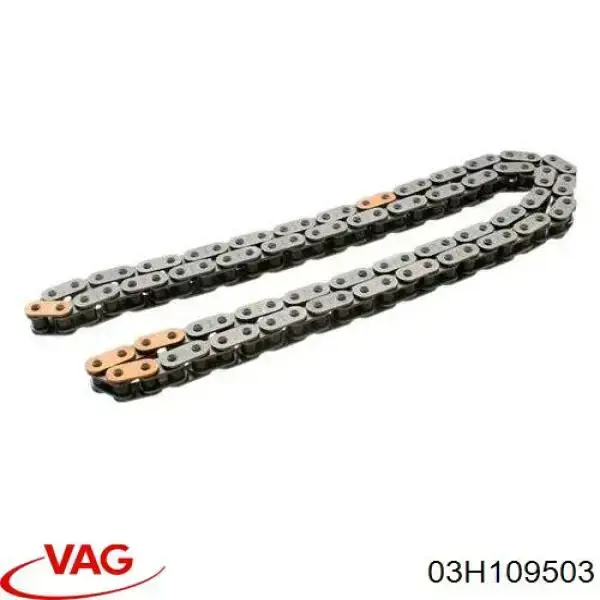 Łańcuch rozrządu górny VAG 03H109503 cena, od 52,57 USD
