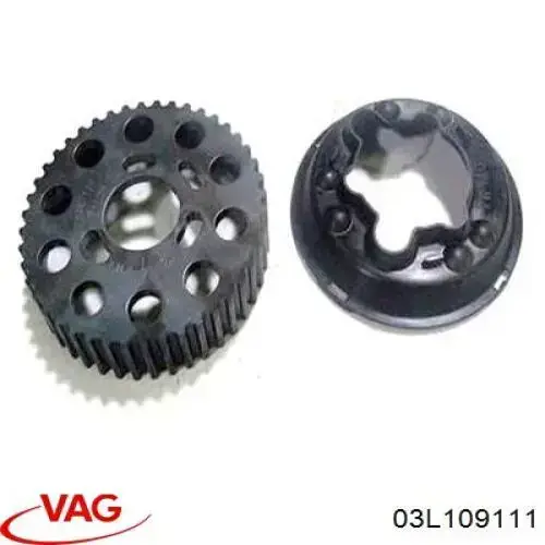 Do koszyka Koło zębatewalcowe wałka rozrządu silnika Audi Q5  8RB