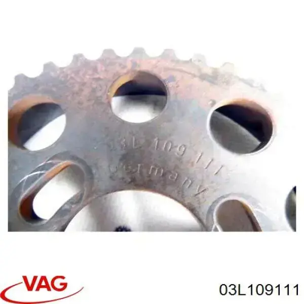 Koło zębatewalcowe wałka rozrządu silnika Audi Q5 SUV (8RB) (2008 - 2016) cena, od 69,03 USD