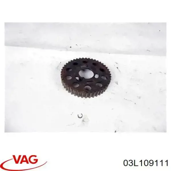 Koło zębatewalcowe wałka rozrządu silnika do Audi Q5  8RB