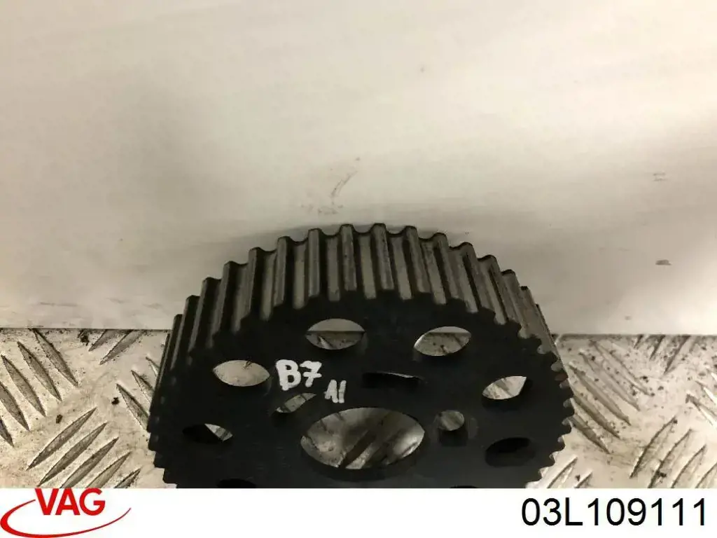 Koło zębatewalcowe wałka rozrządu silnika Audi Q5 