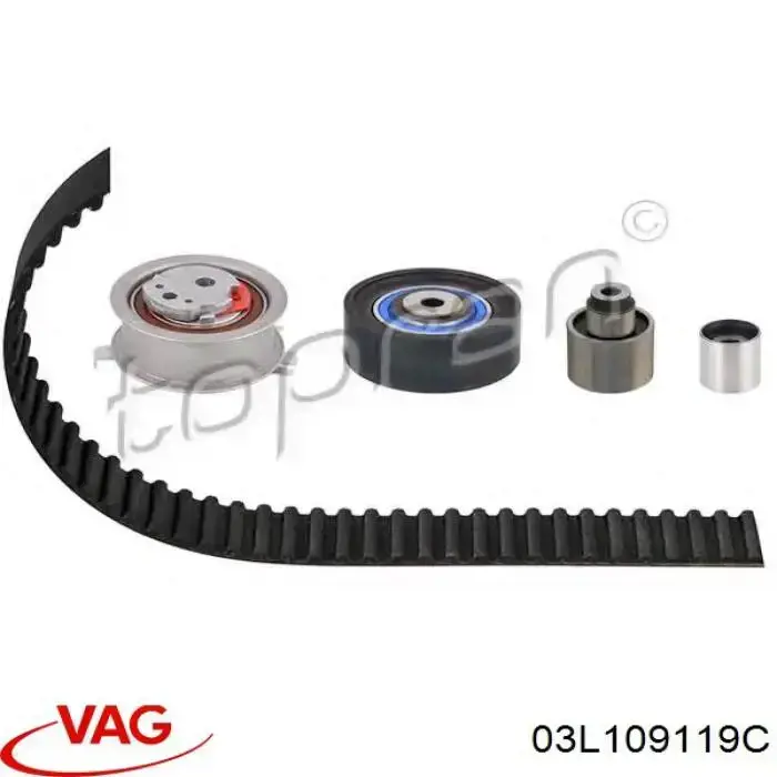 Pasek rozrządu VAG 03L109119C cena, od 46,83 USD
