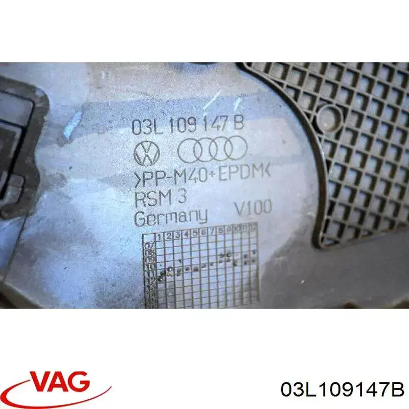 Do koszyka 3L109147D VAG Osłona paska rozrządu dolna