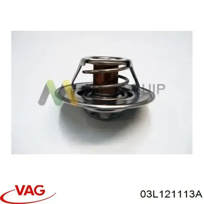 Do koszyka 03L121113A VAG Termostat
