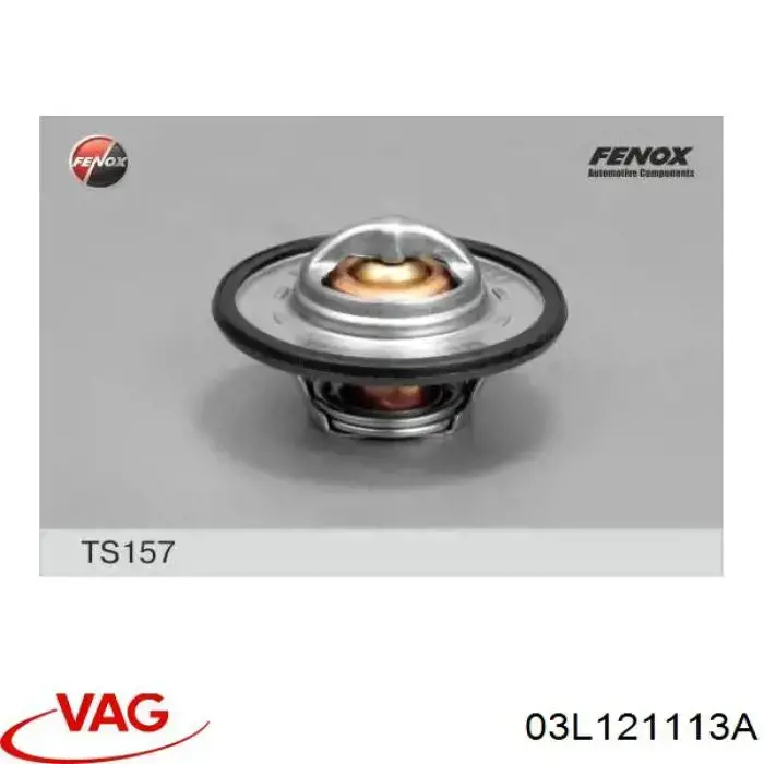 03L121113A VAG Termostat