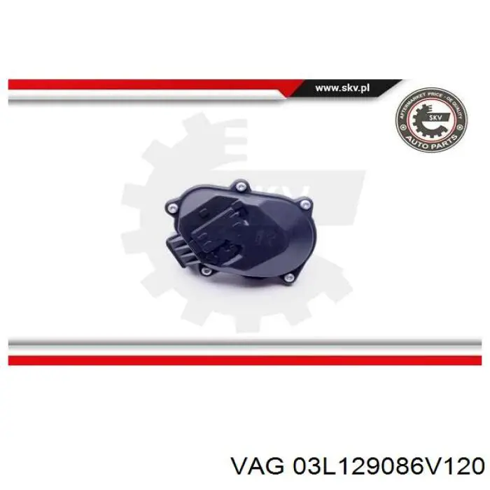 Kolektor ssący VAG 03L129086V120 cena, od 160,92 USD