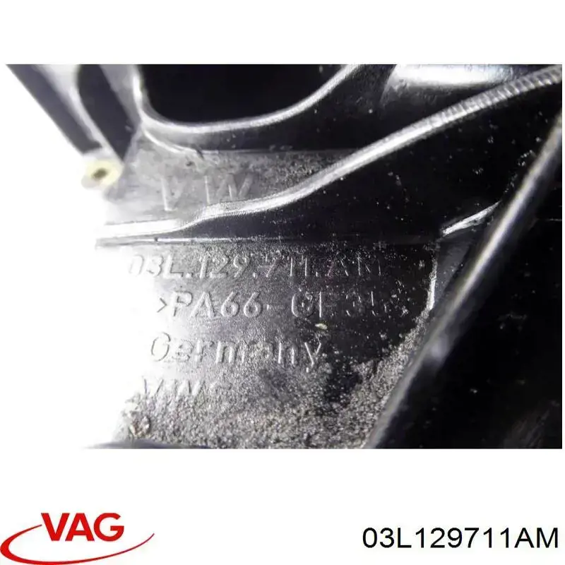 Kolektor ssący VAG 03L129711AM cena, od 112,37 USD