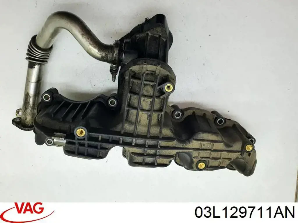 Kolektor ssący VAG 03L129711AN cena, od 120,88 USD