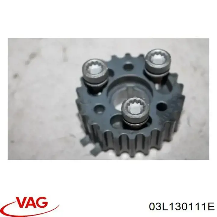 Do koszyka 03L130111E VAG Koło zębate walcowe pompy wtryskowej