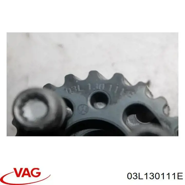 Koło zębate walcowe pompy wtryskowej 03L130111E VAG