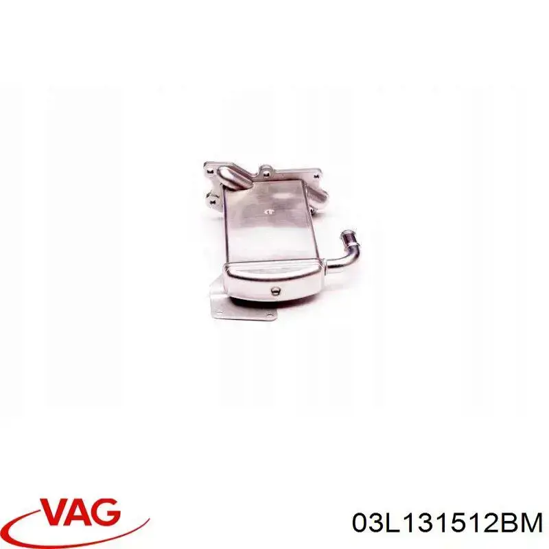 Do koszyka 03L131512BM VAG Chłodnica układu recyrkulacji spalin EGR