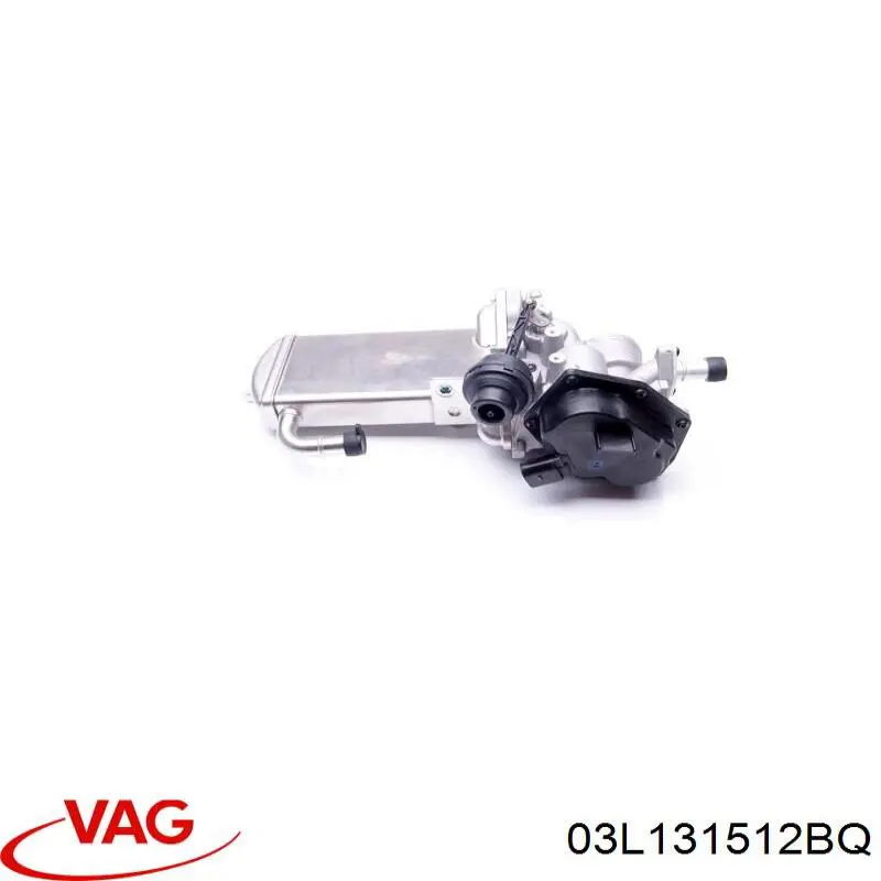 Do koszyka 03L131512BQ VAG Chłodnica układu recyrkulacji spalin EGR
