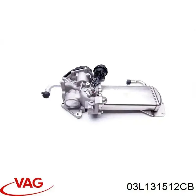 Do koszyka 03L131512CB VAG Chłodnica układu recyrkulacji spalin EGR