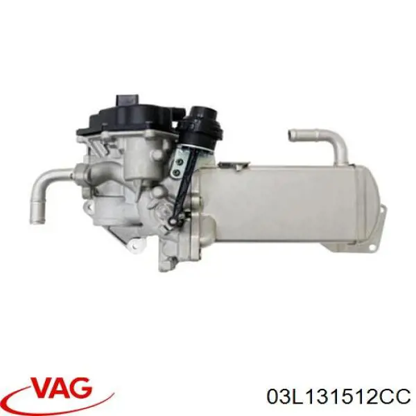 Do koszyka 03L131512CC VAG Chłodnica układu recyrkulacji spalin EGR