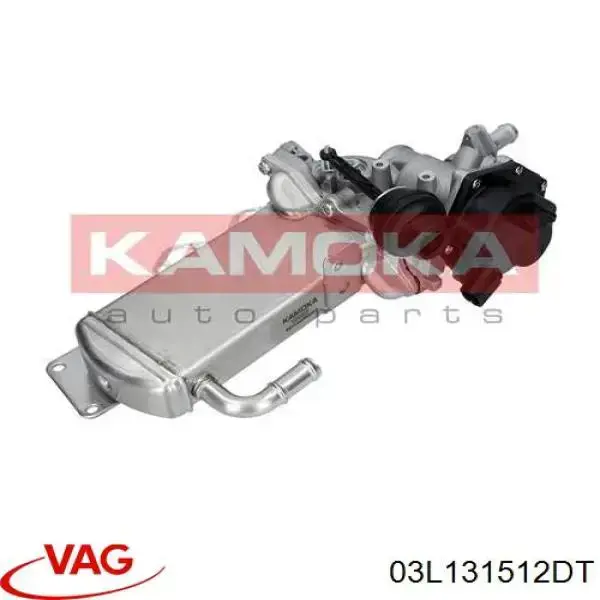 Do koszyka 03L131512DT VAG Chłodnica układu recyrkulacji spalin EGR