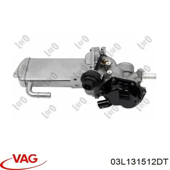 Do koszyka 03L131512DT VAG Chłodnica układu recyrkulacji spalin EGR