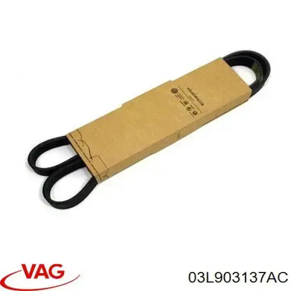 Pas napędowy mechanizmów VAG 03L903137AC cena, od 16,67 USD