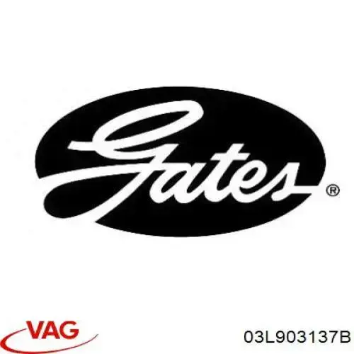 Pas napędowy mechanizmów VAG 03L903137B cena, od 54,99 USD