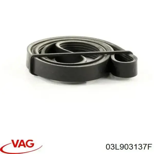 Do koszyka 03L903137F VAG Pas napędowy mechanizmów