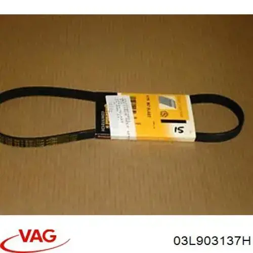 Pas napędowy mechanizmów VAG 03L903137H cena, od 17,15 USD
